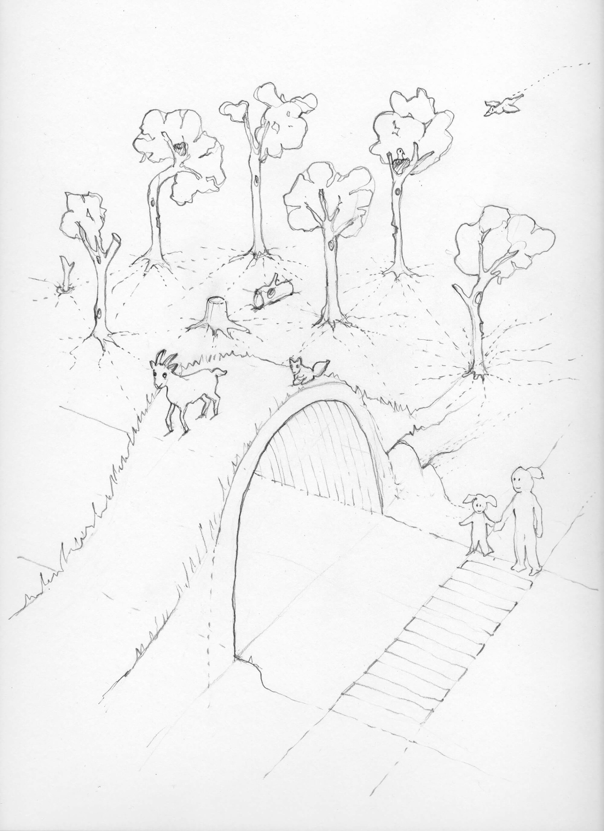 wildlife road crossing